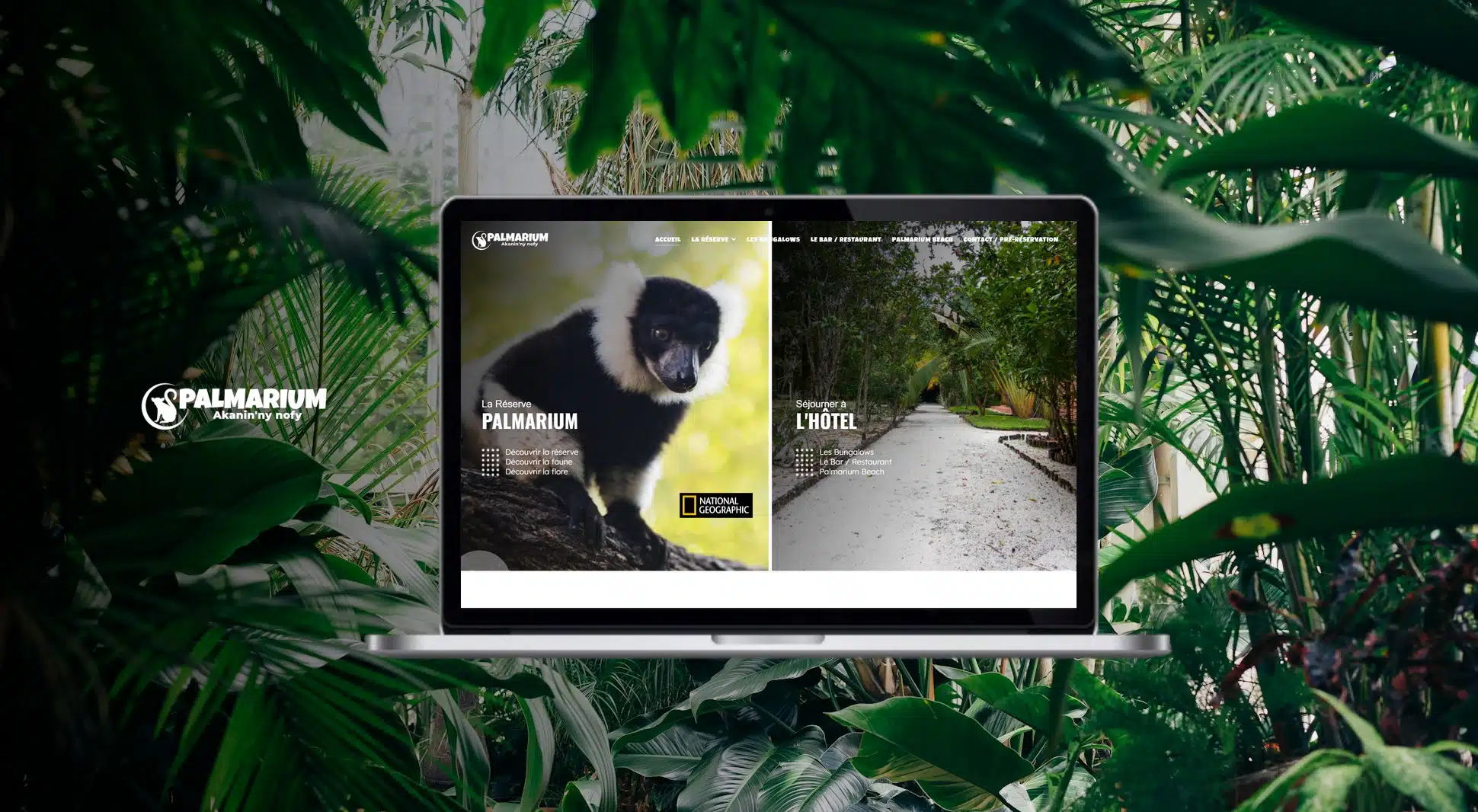 PALMARIUM — réalisation AgenceSolution